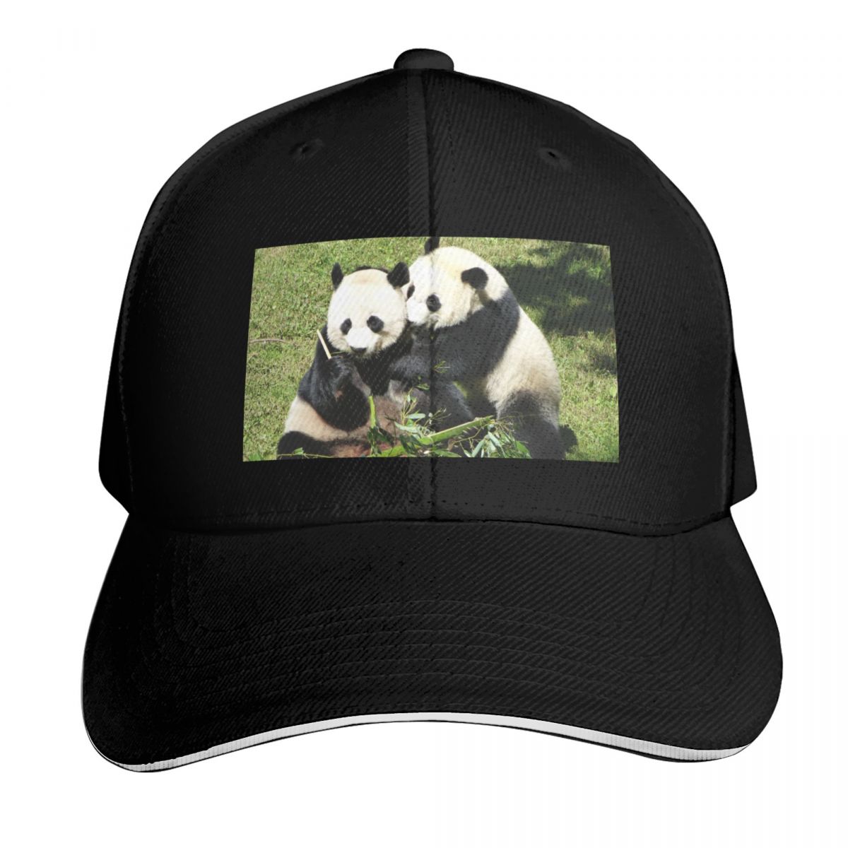 Kids Outdoor Zoo - Giant Pandas Mei Xiang and Bei