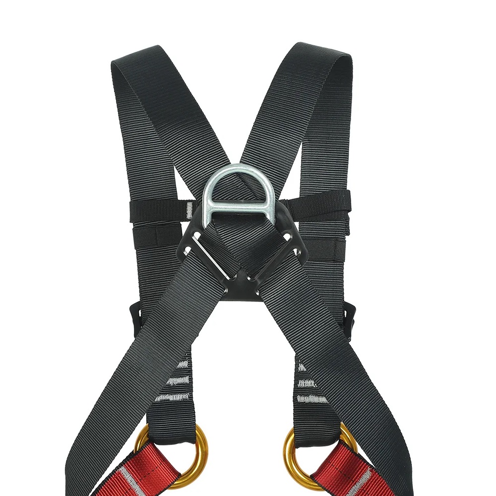 Child Indoor Expansion Full Bo - Kids Outdoor Gear ulasan dan harga